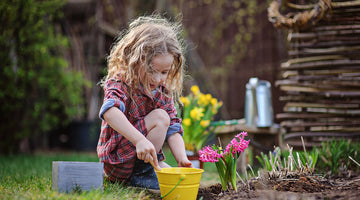 10 FREE family things to do this half term