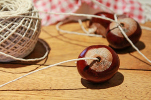 It’s a Conker revolution! Let the games begin!