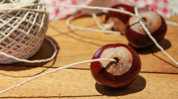 It’s a Conker revolution! Let the games begin!